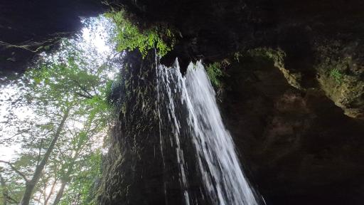 عکس پلنگ دره