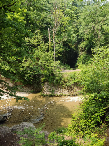 عکس پلنگ دره