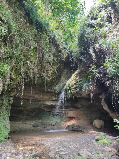 عکس پلنگ دره