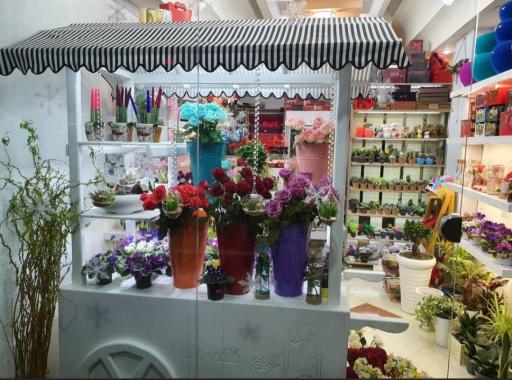 عکس گلکده مادر