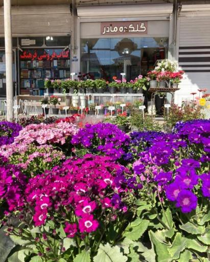 عکس گلکده مادر