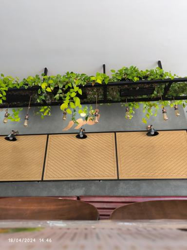 عکس پیتزا تنور