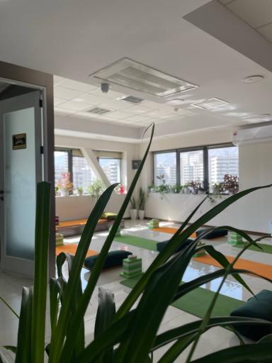 عکس مرکز یوگای مروارید آبی