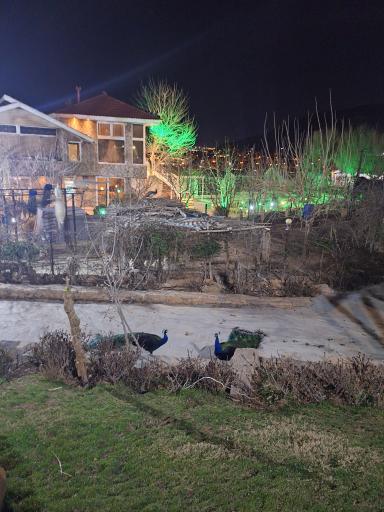 عکس کاخ پارسه