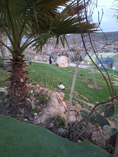 عکس کاخ پارسه