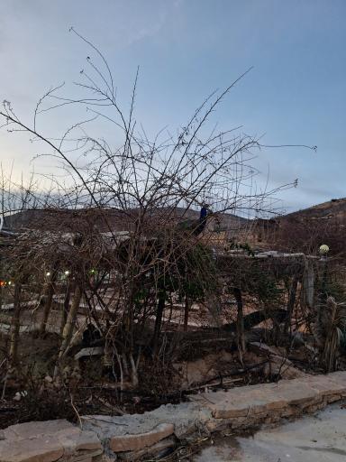 عکس کاخ پارسه