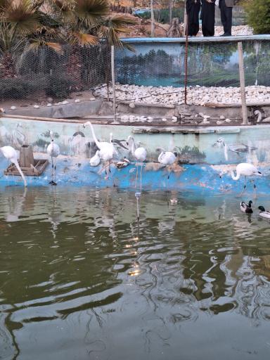 عکس کاخ پارسه