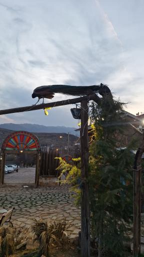 عکس کاخ پارسه