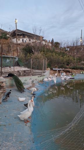 عکس کاخ پارسه