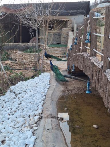 عکس کاخ پارسه