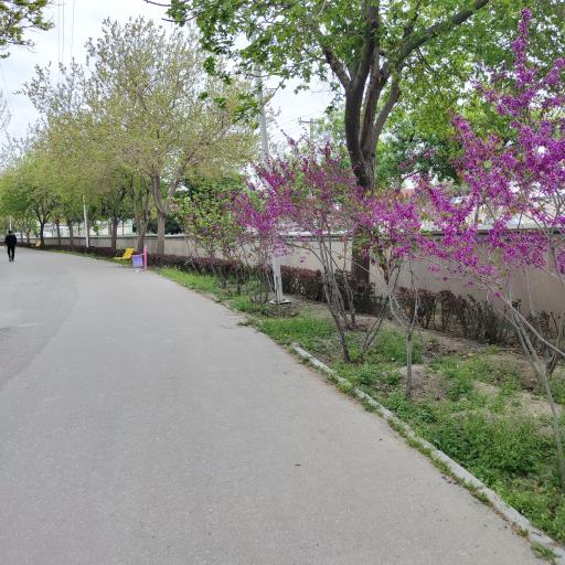 عکس بوستان بسیج