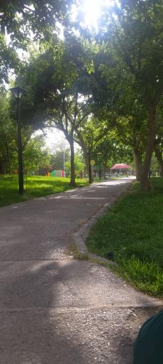 عکس بوستان بسیج