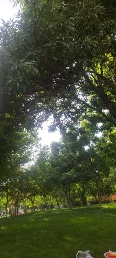 عکس بوستان بسیج