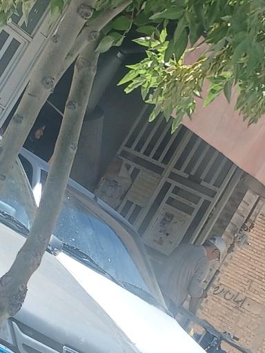 عکس نانوایی ثمین شیروانی