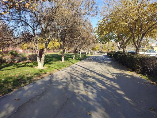 عکس بوستان بسیج