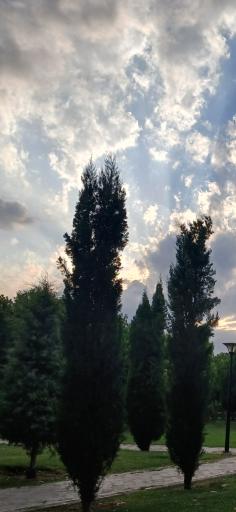 بوستان بسیج