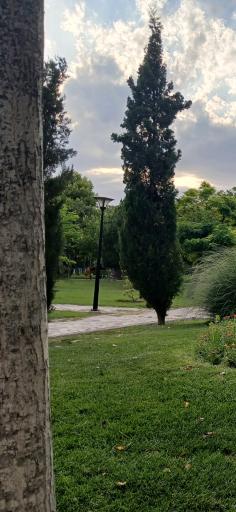 عکس بوستان بسیج