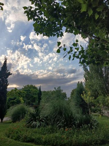 عکس بوستان بسیج