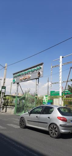 عکس بازار میوه و تره بار بیمه