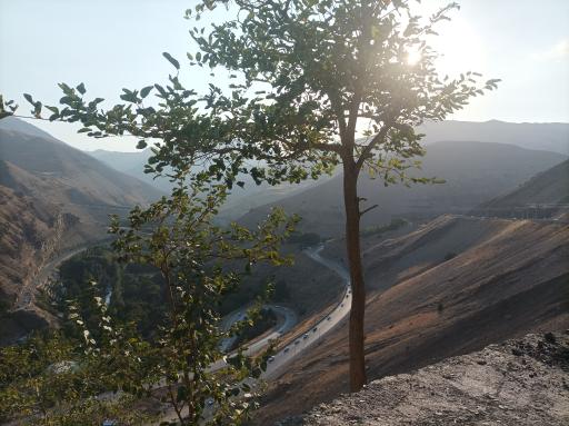 عکس بام چالوس