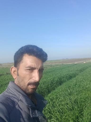 عکس قره تپه