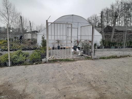 عکس گلخانه مهندس رضامنش