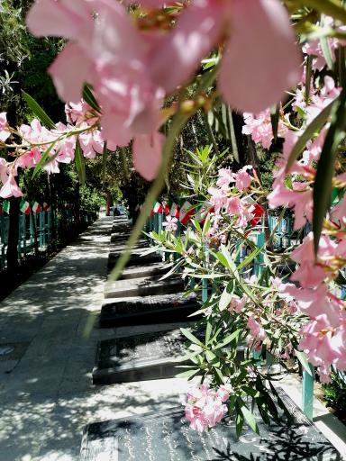 عکس گلزار شهدا نجف آباد