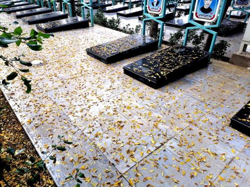 عکس گلزار شهدا نجف آباد