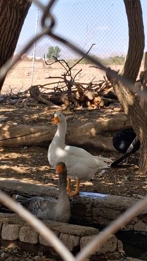 عکس استراحتگاه بین راهی