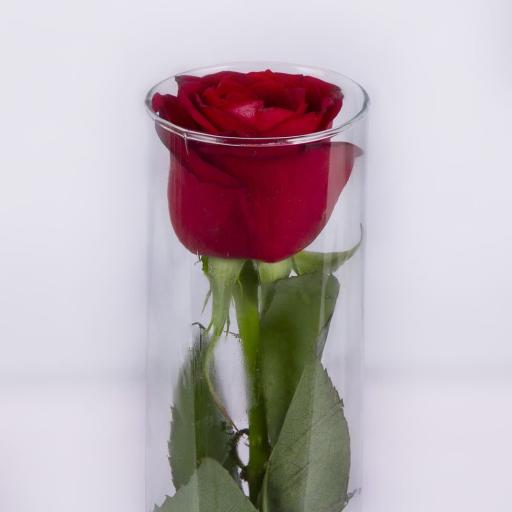 عکس گلفروشی سولین بازار