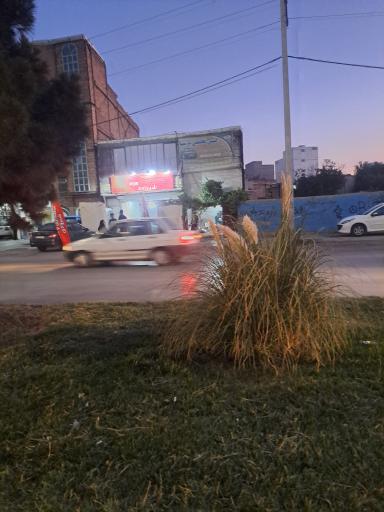 عکس صافکاری شیرزادی