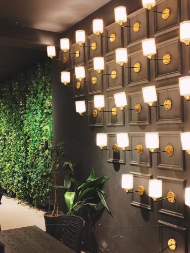 عکس مجتمع غذایی آبشار