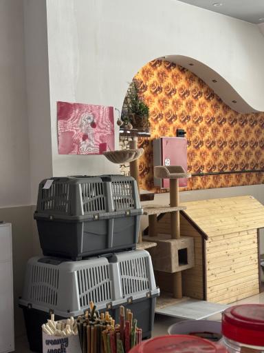 عکس کلینیک حیوانات خانگی و پت شاپ استادان