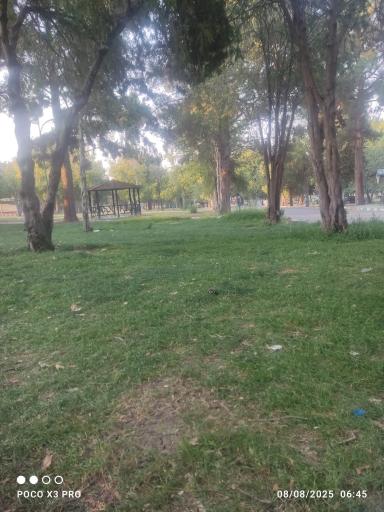 عکس بوستان دهخدا