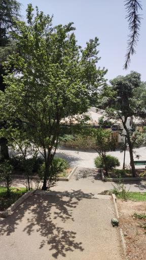 عکس نمازخانه