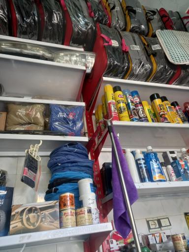 تن پوش خودرو