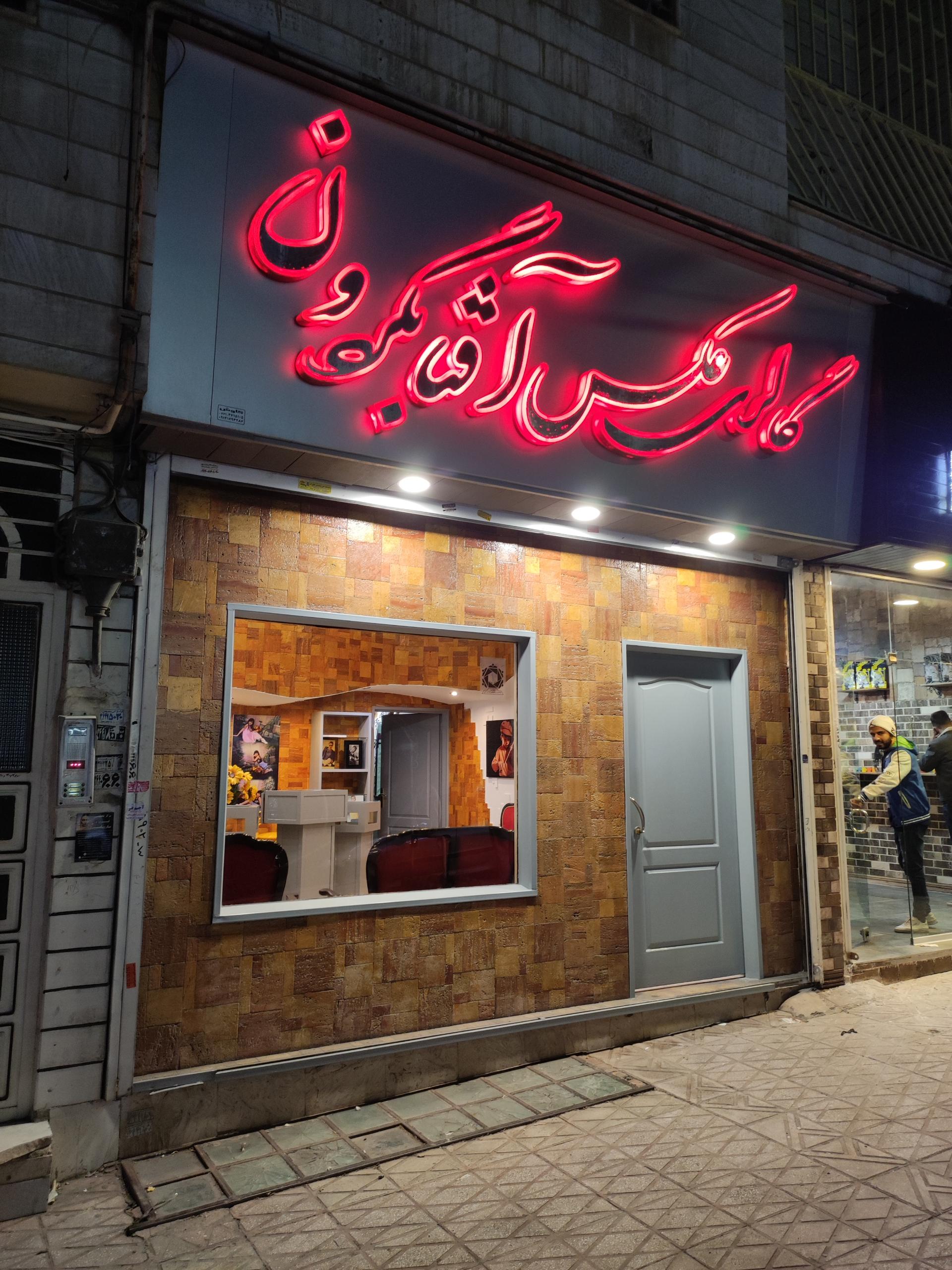 عکس گالری عکس آفتابگردان