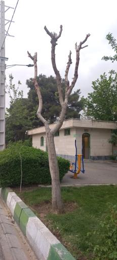 عکس بوستان باغراه ابن سینا