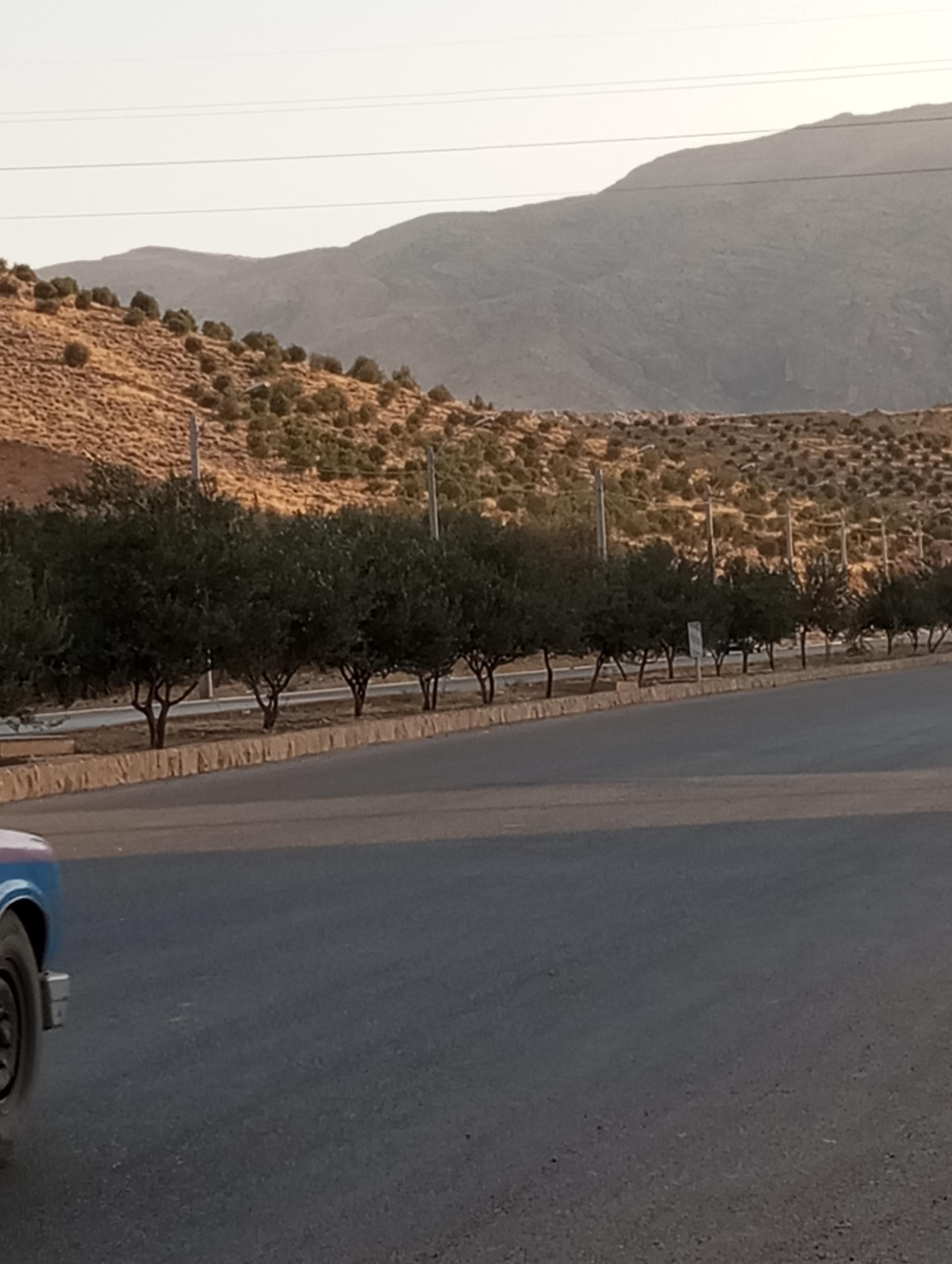 عکس پارک بهارستان