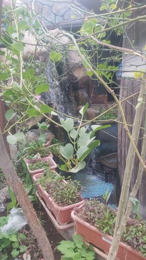 عکس رستوران سنتی صفاهان