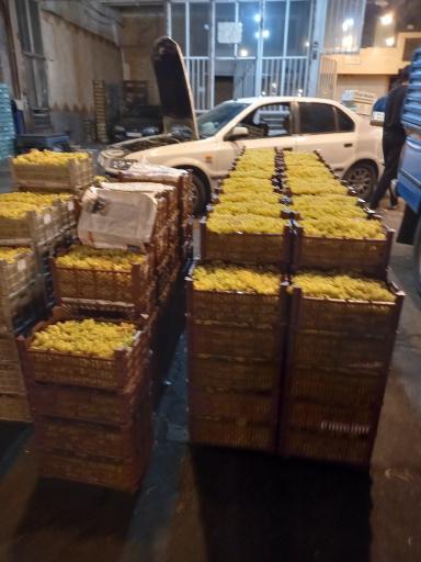 عکس میدان میوه وتره بار