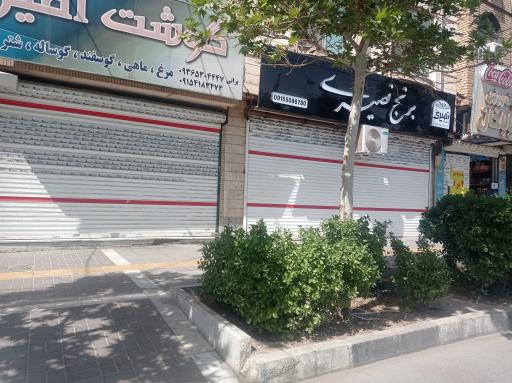 عکس برنج نصیری