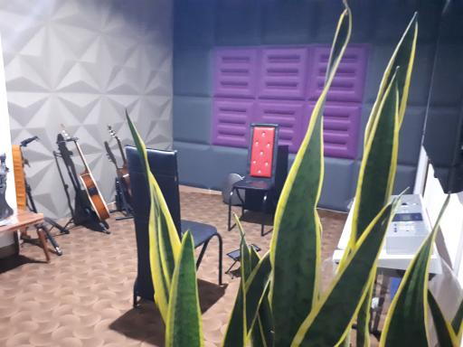 عکس آموزشگاه موسیقی بهنام 