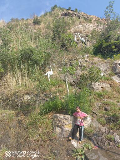 عکس پارک ملی گردشگری آبشار مهدی شهر