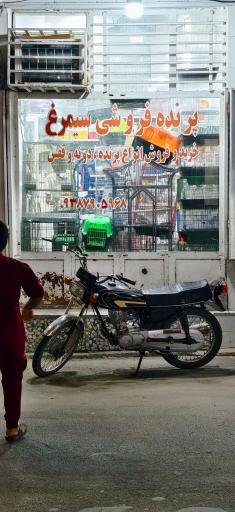 پرنده فروشی سیمرغ