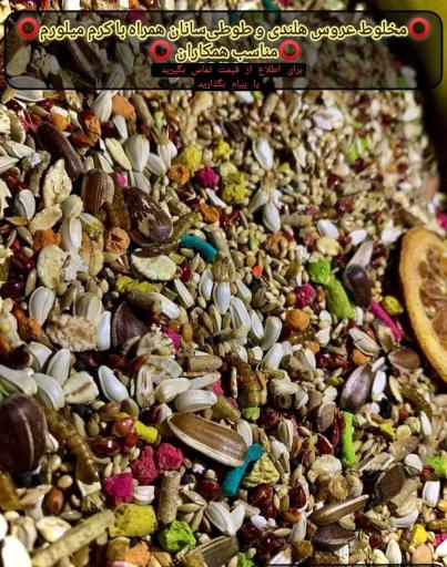 عکس تولید کننده غذای عروس هلندی و طیور آریادانه