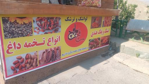 عکس ملچ مولوچ