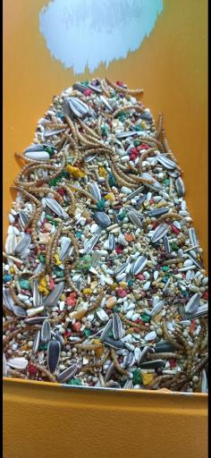 عکس تولید کننده غذای عروس هلندی و طیور آریادانه