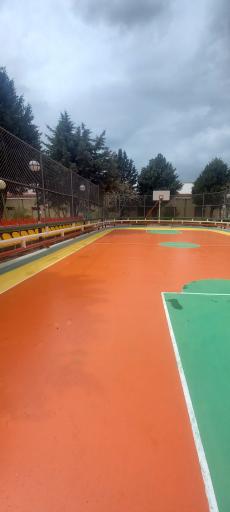 عکس زمین  بسکتبال روباز