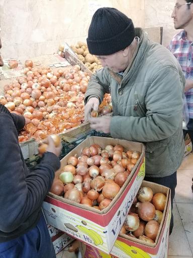 عکس میوه سرای سجاد